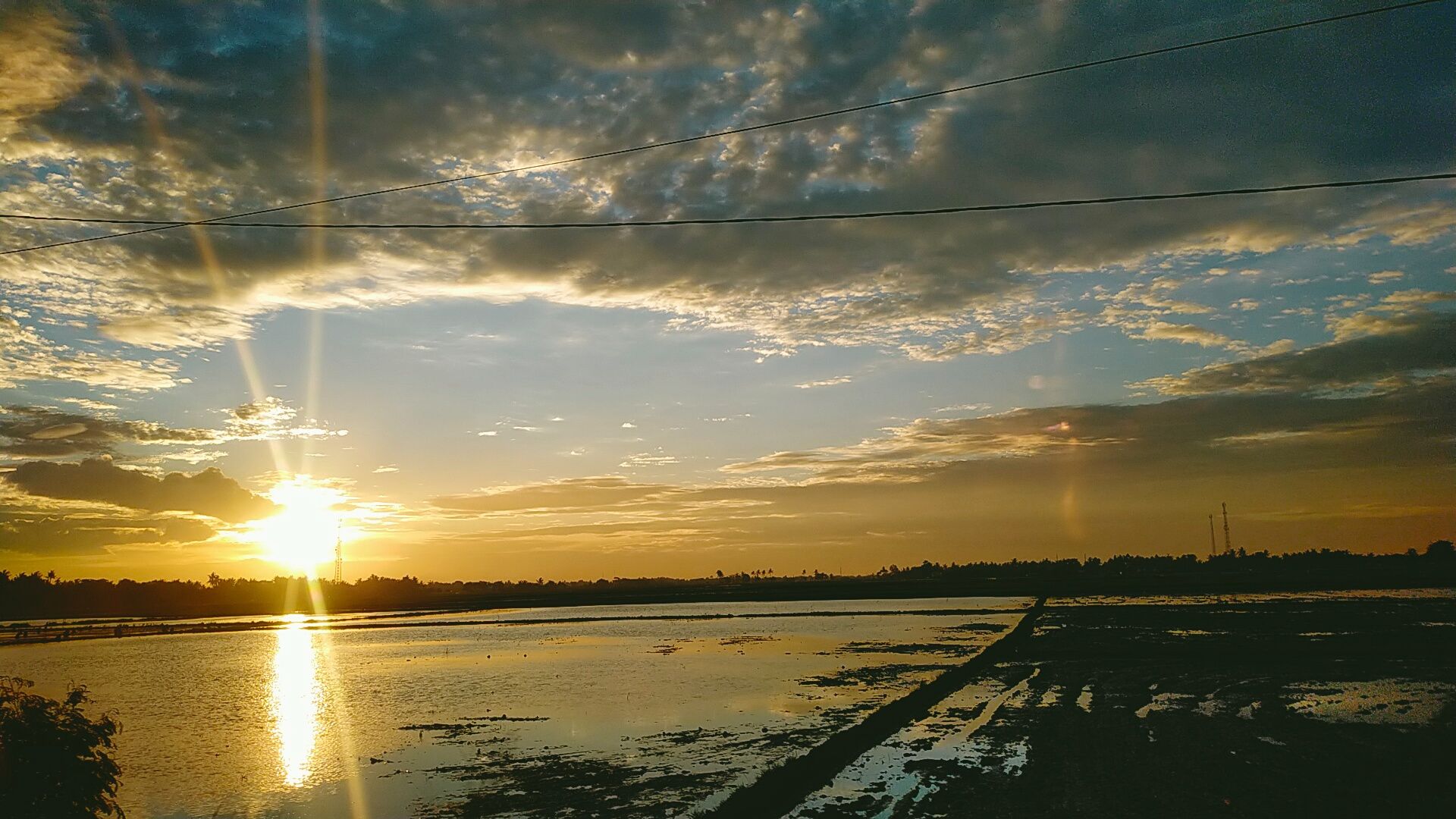 IMG20211201174002.jpg