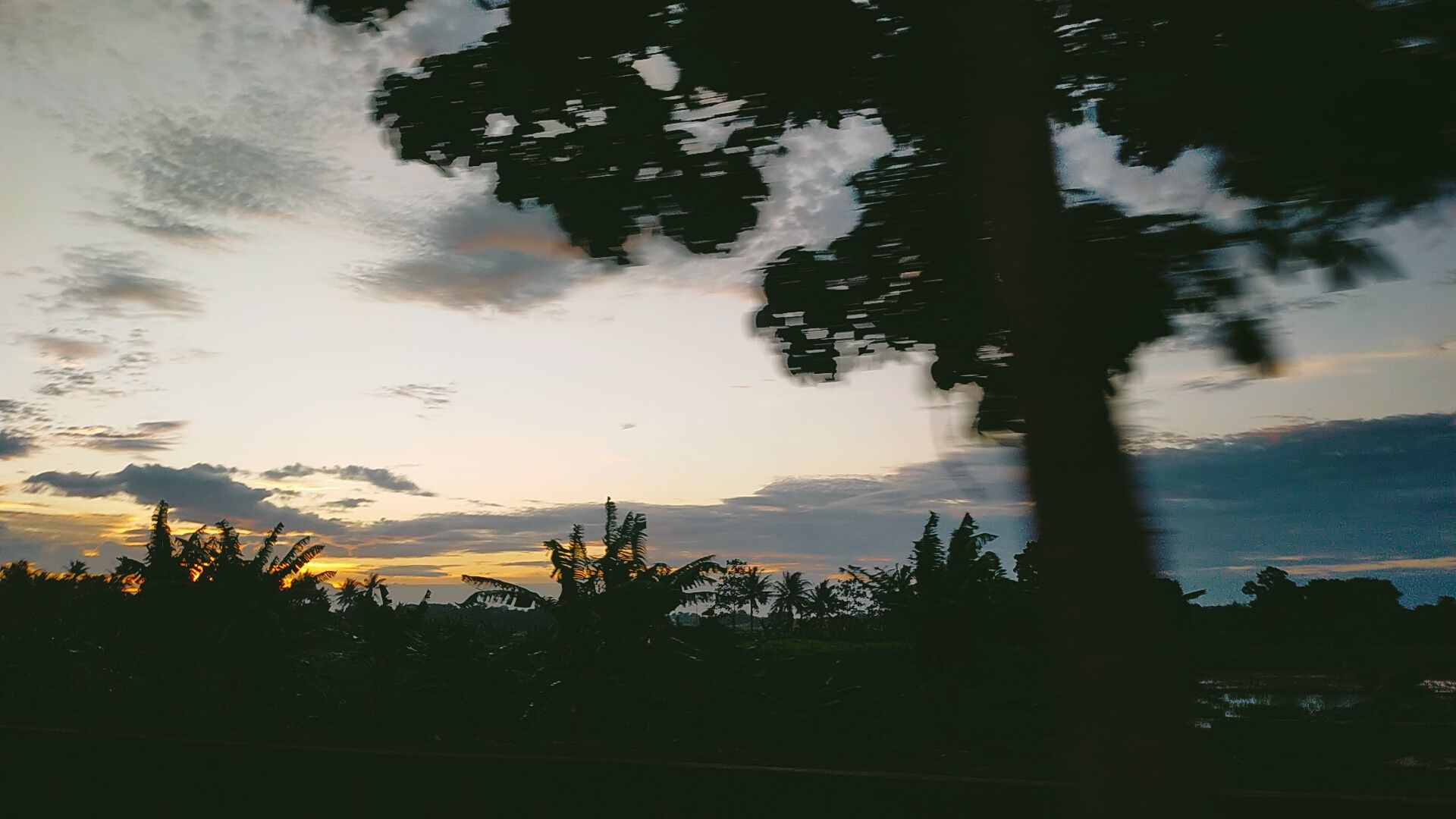IMG20211201175505.jpg