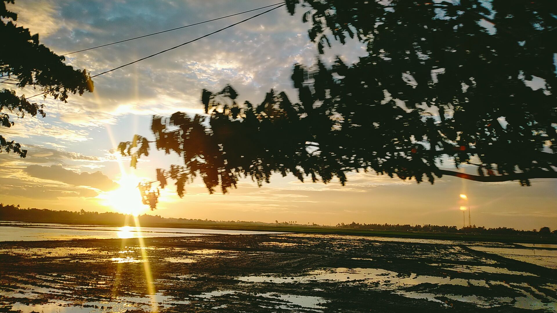 IMG20211201173959.jpg
