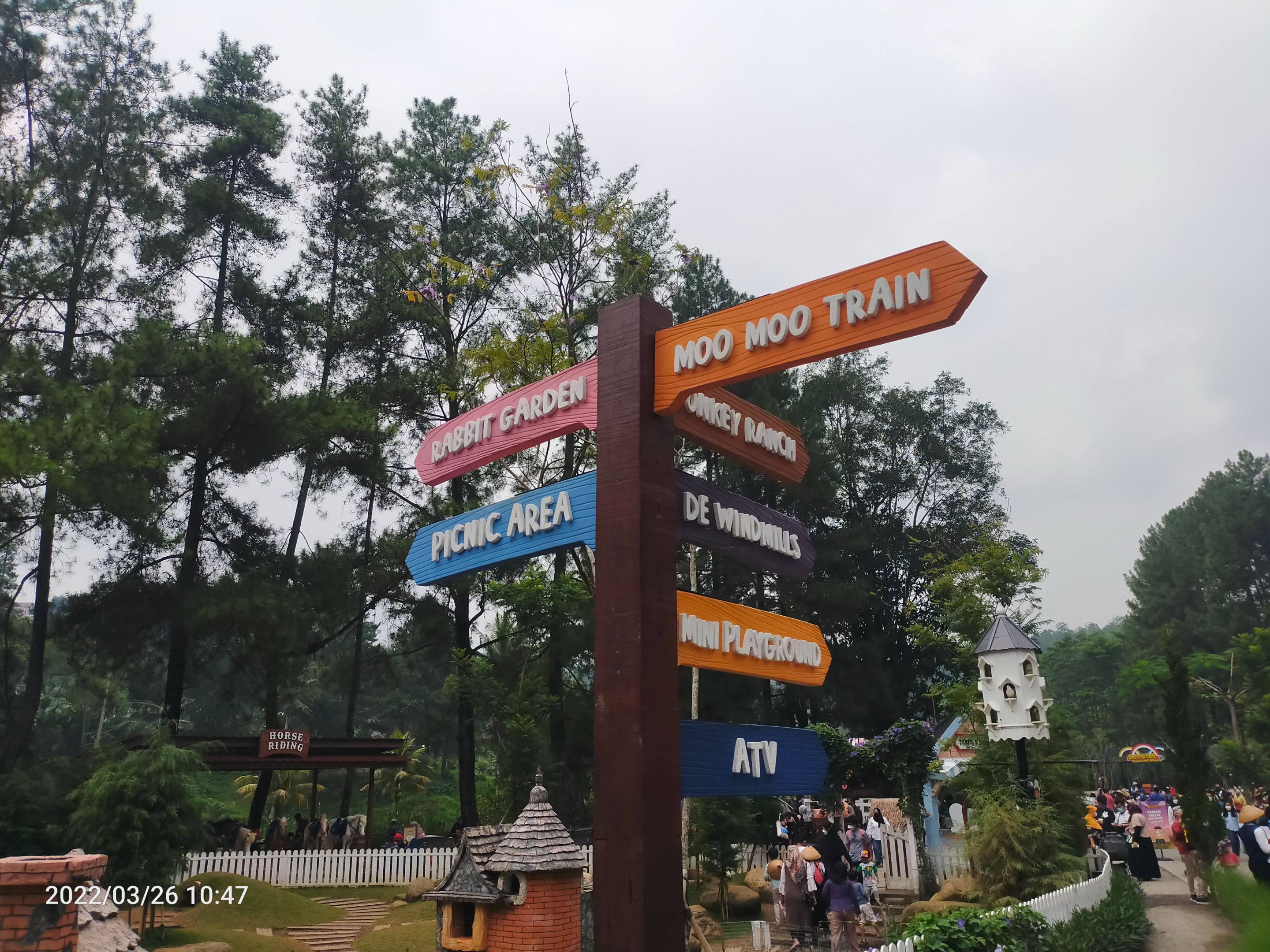IMG20220326104719.jpg