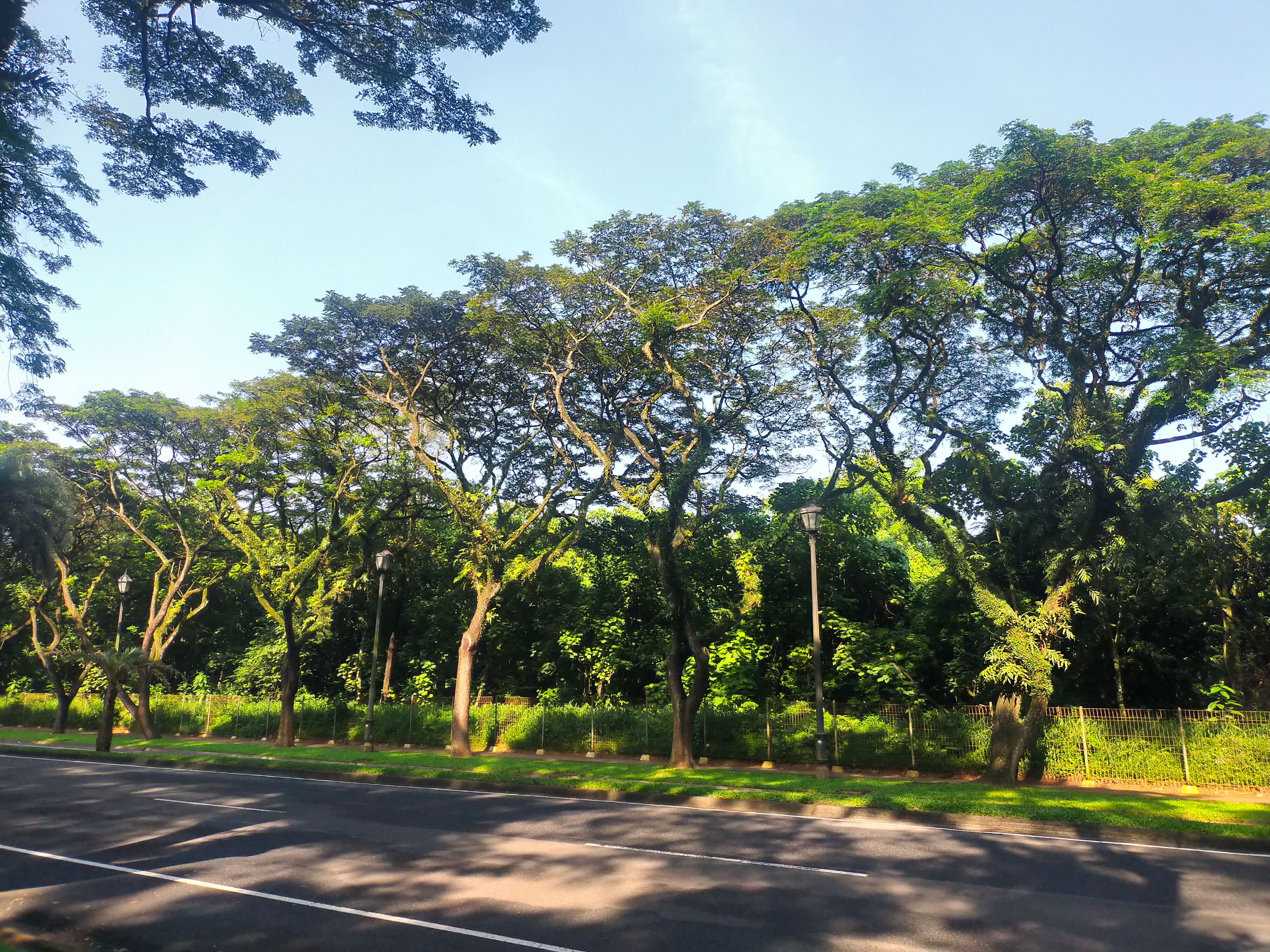 IMG20220410082451.jpg