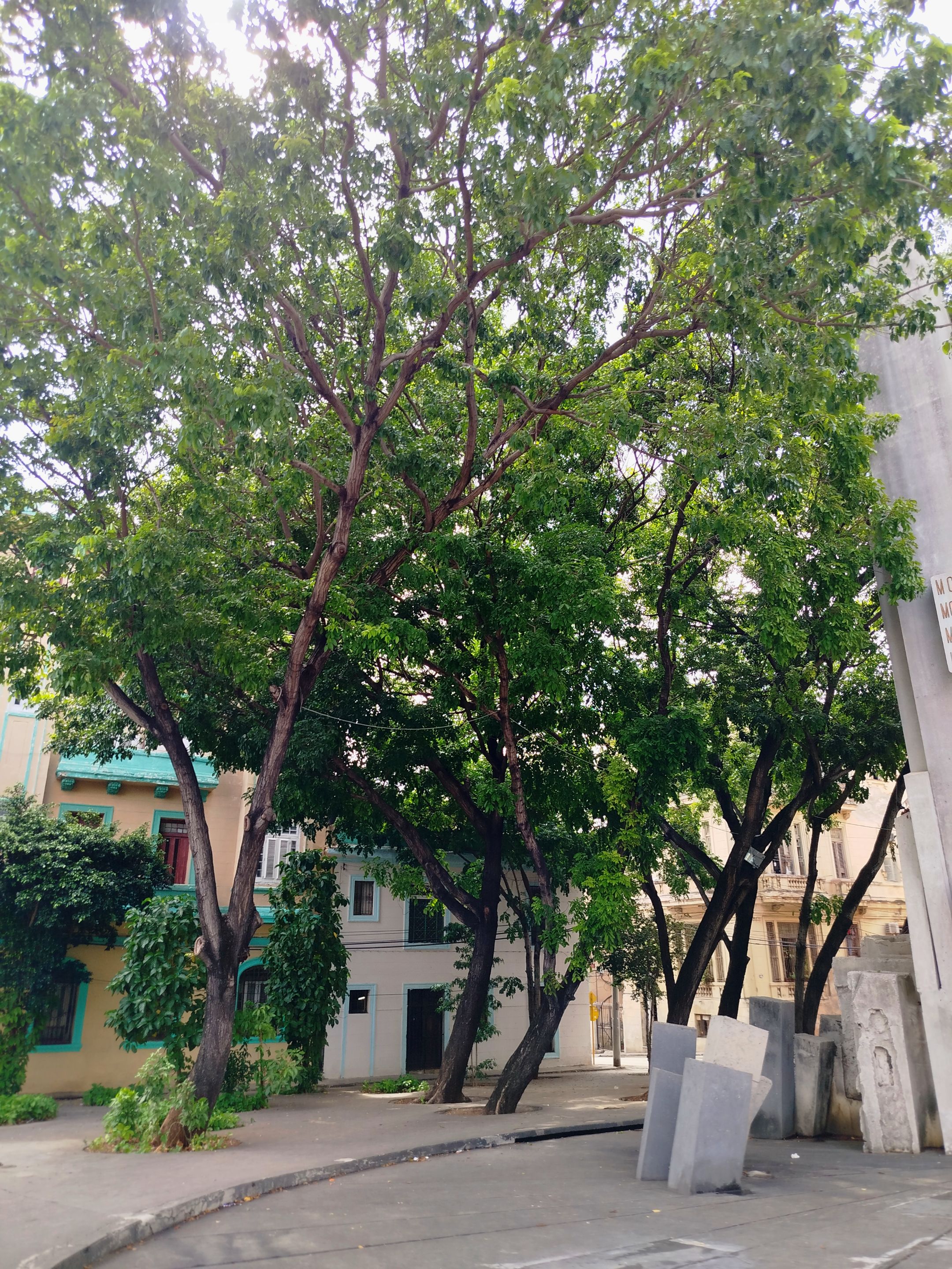 IMG_20250820_224458.jpg