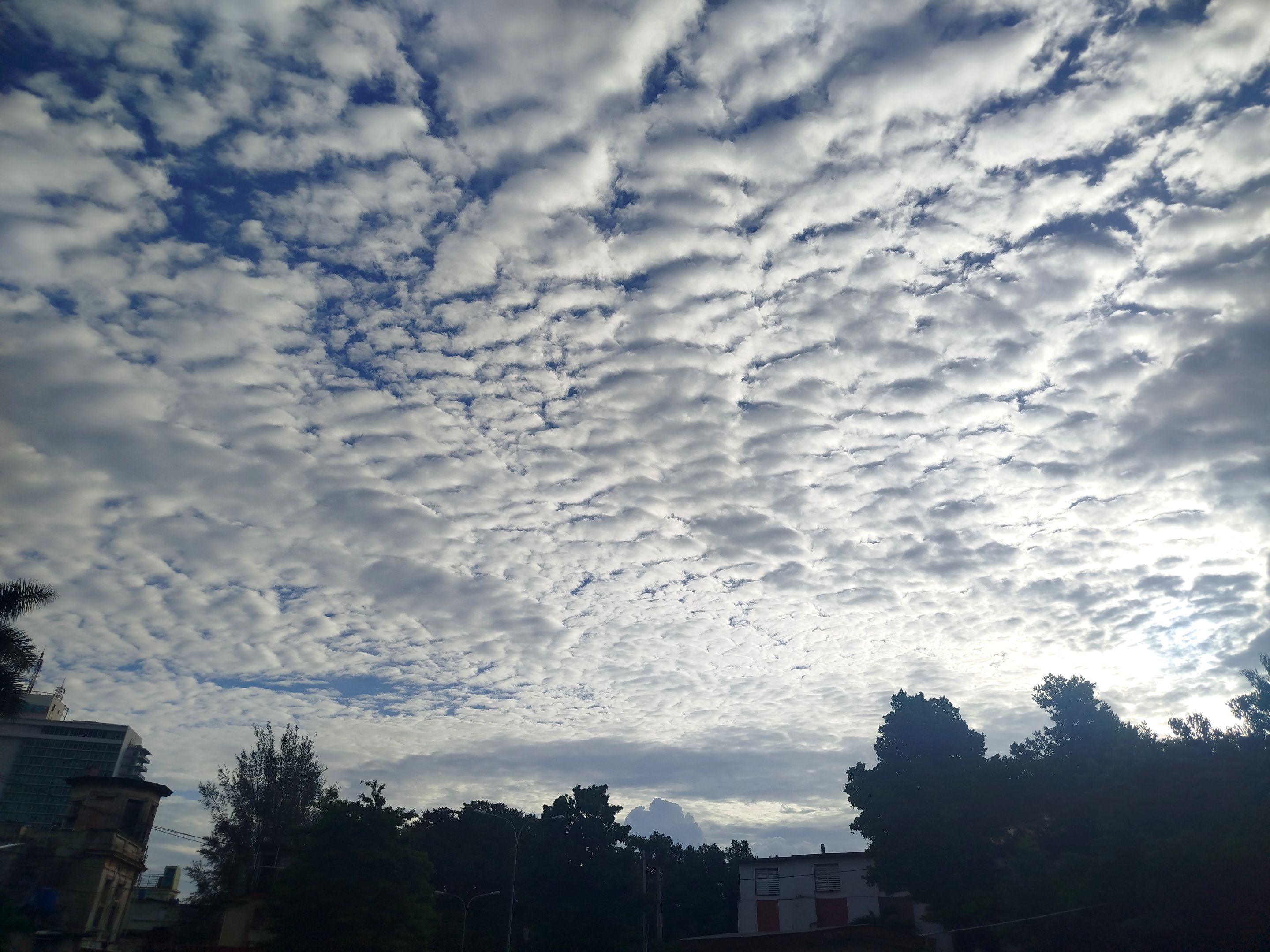 IMG_20250929_185725.jpg