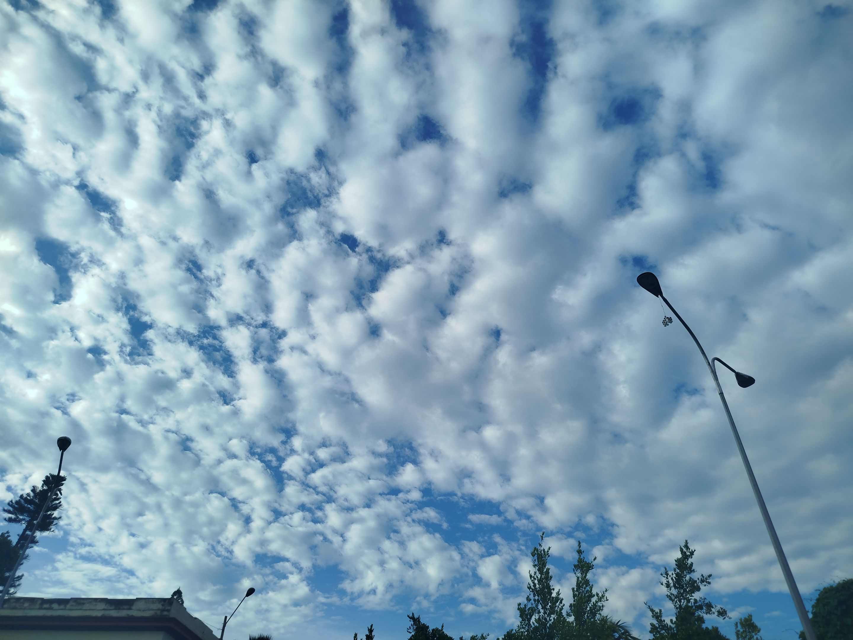 IMG_20250917_083914.jpg