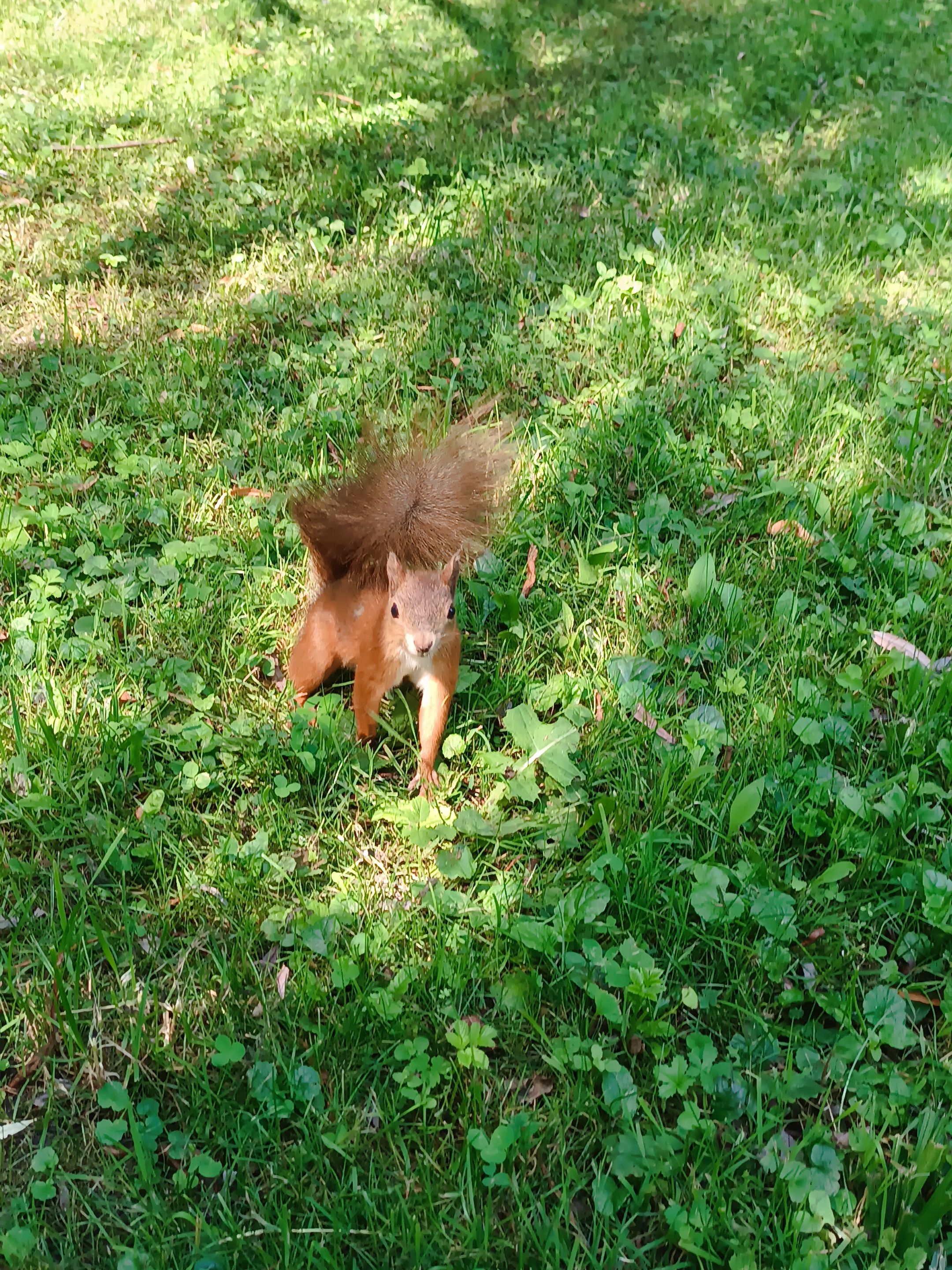 IMG_20230710_102240.jpg