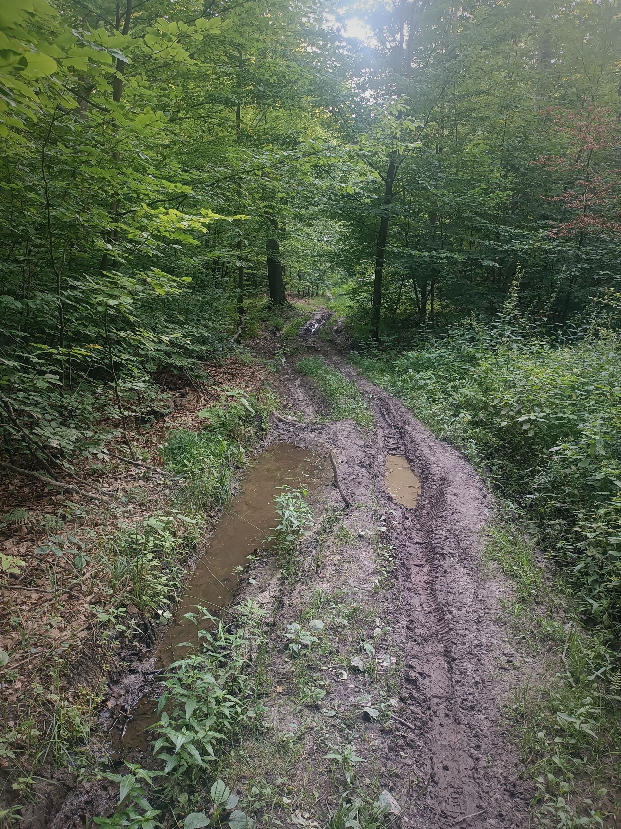 IMG_20250901_190420.jpg