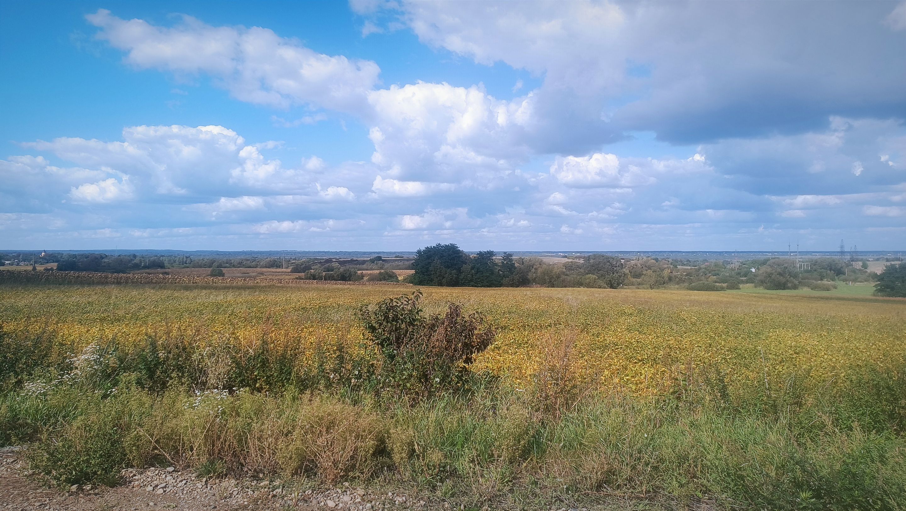 IMG_20250919_172456.jpg