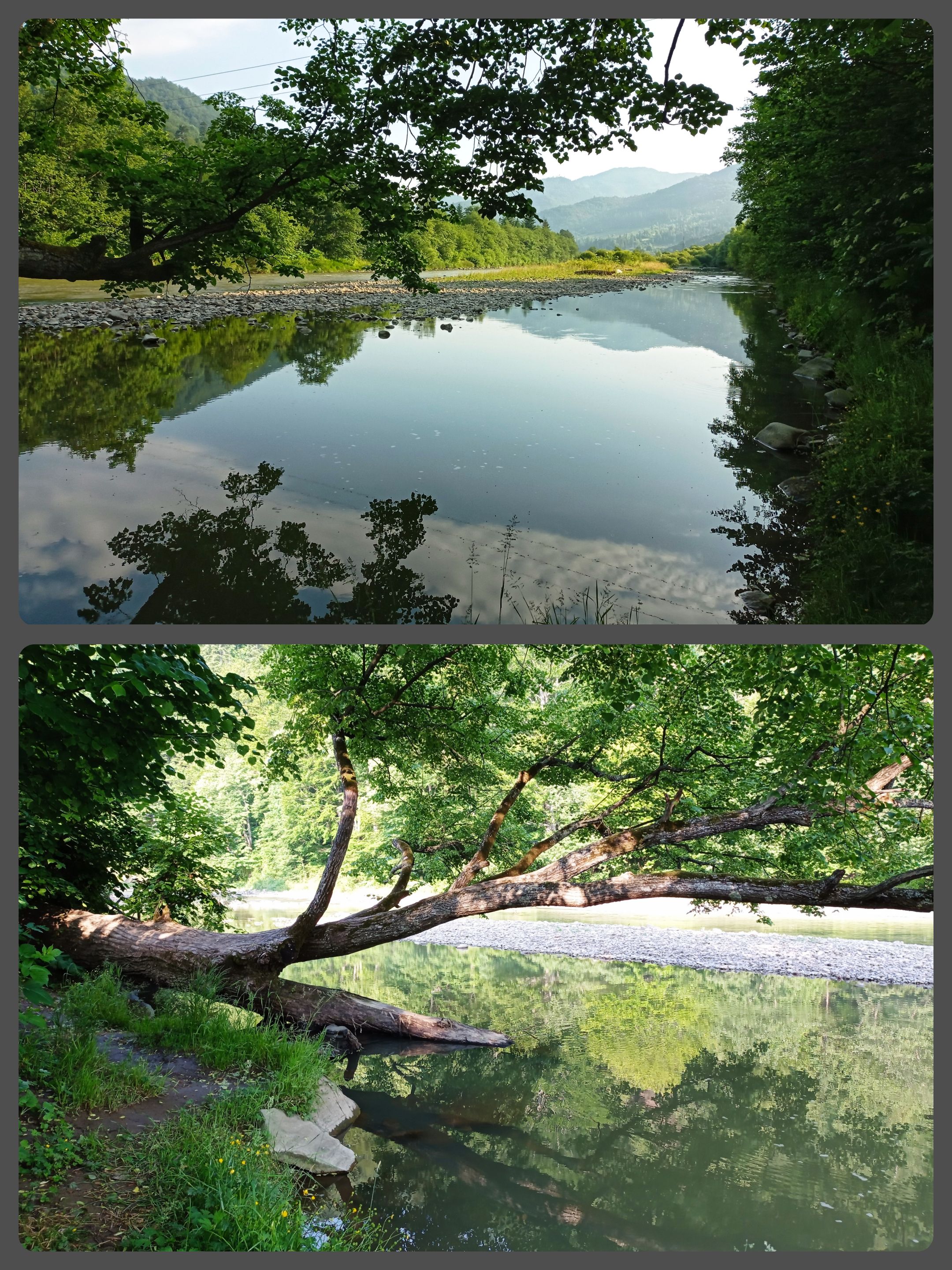 CollageMaker_20210706_135535356.jpg