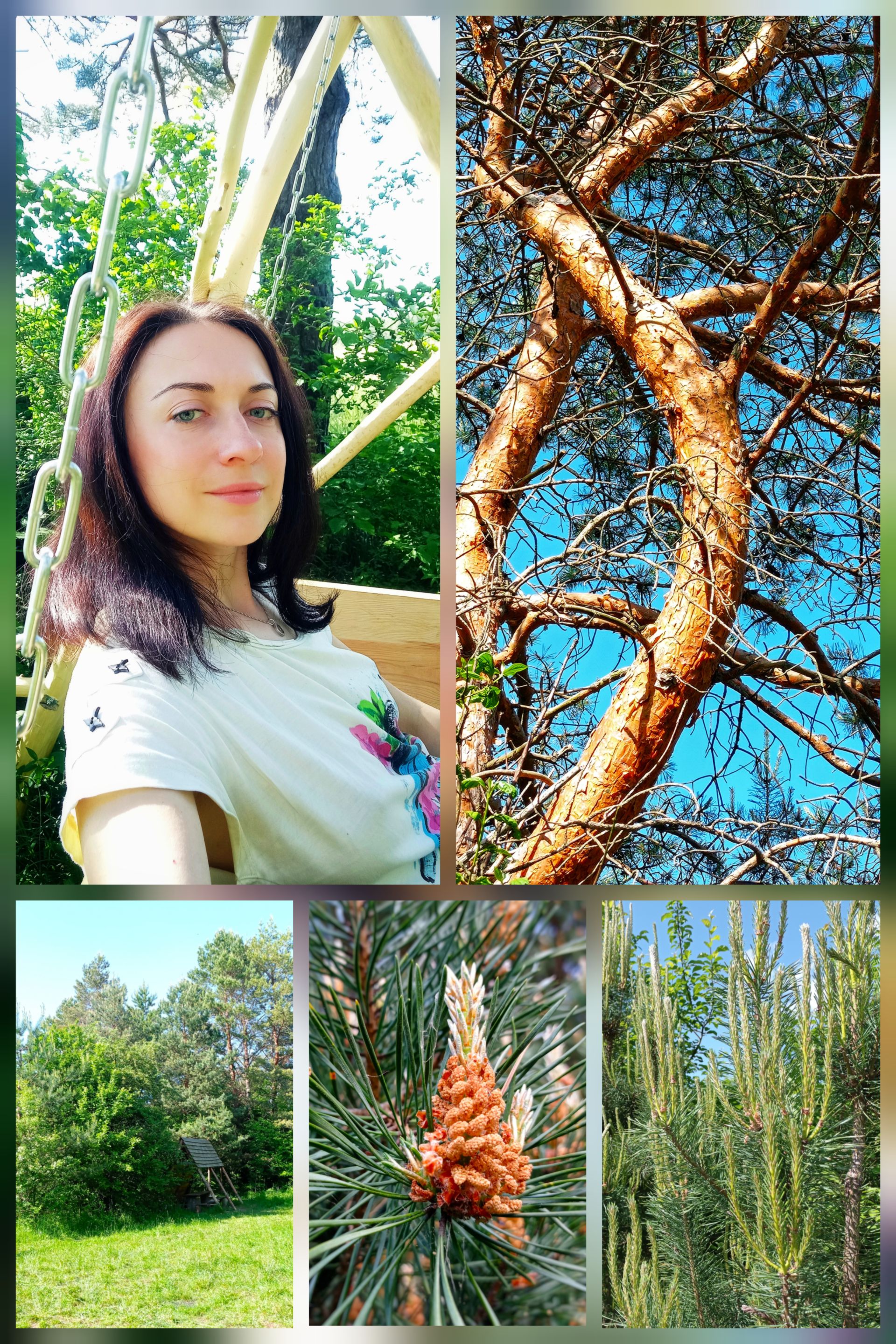 CollageMaker_20210622_193746493.jpg