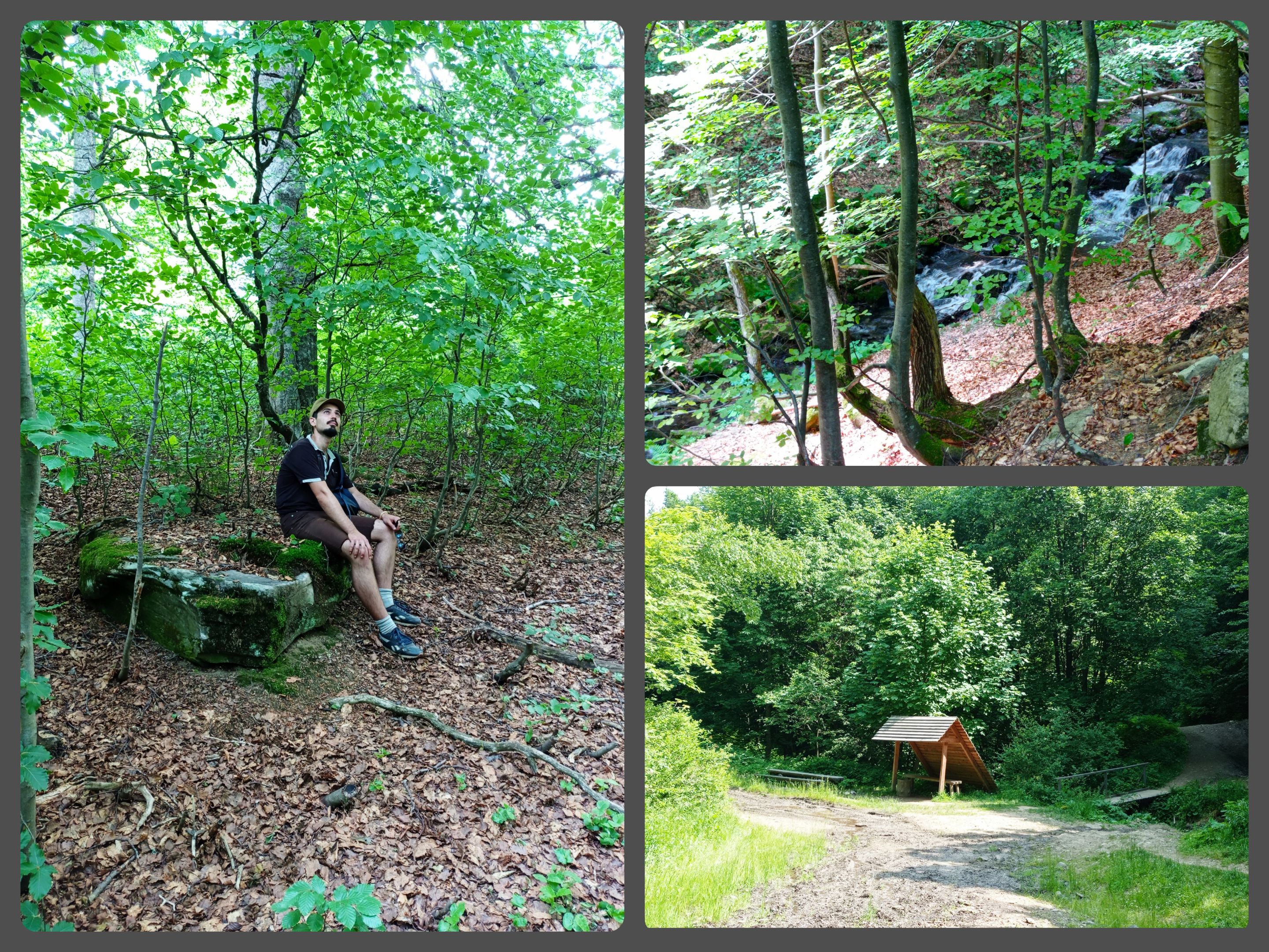 CollageMaker_20210706_140527702.jpg