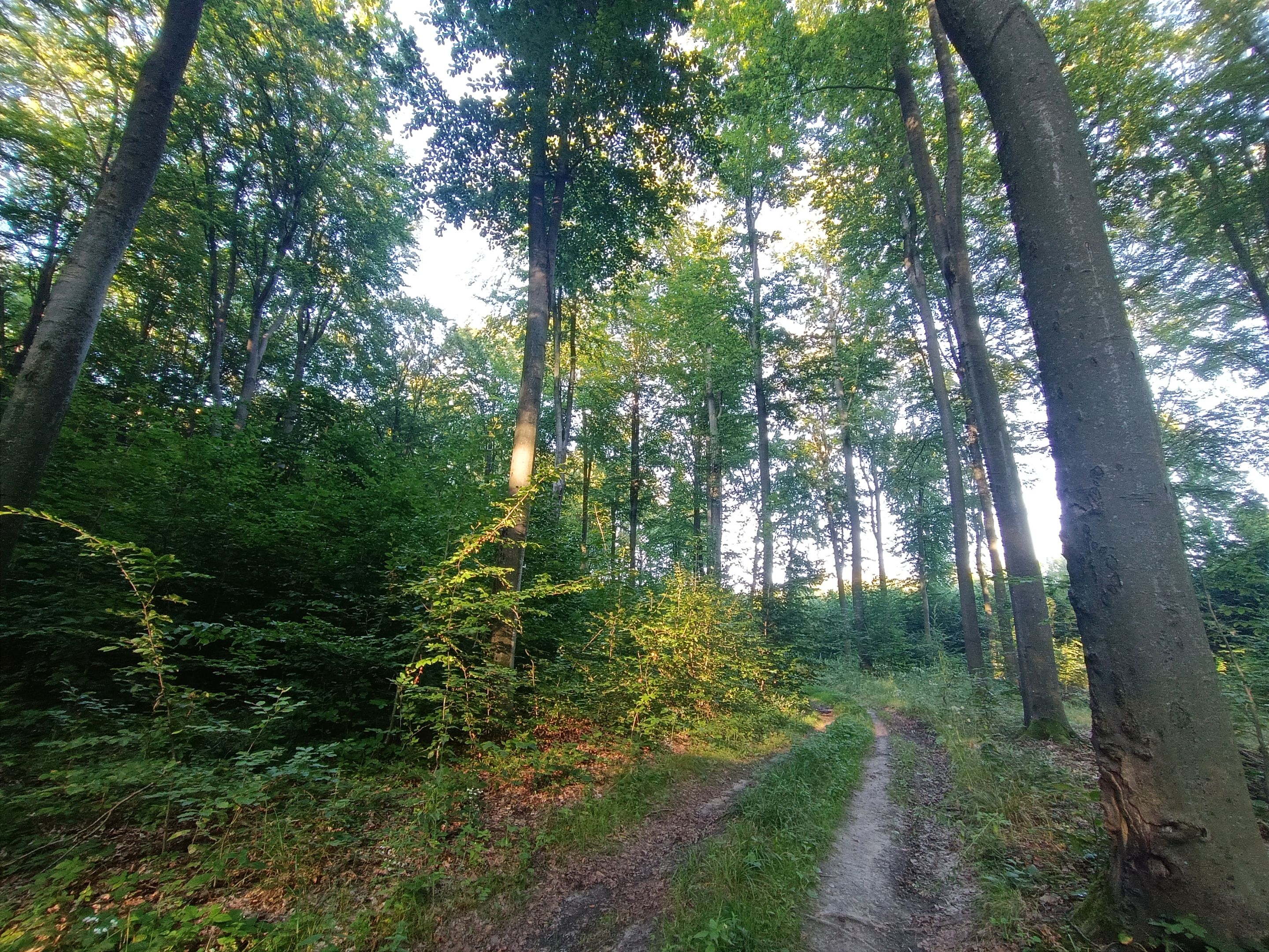 IMG_20250815_173837.jpg