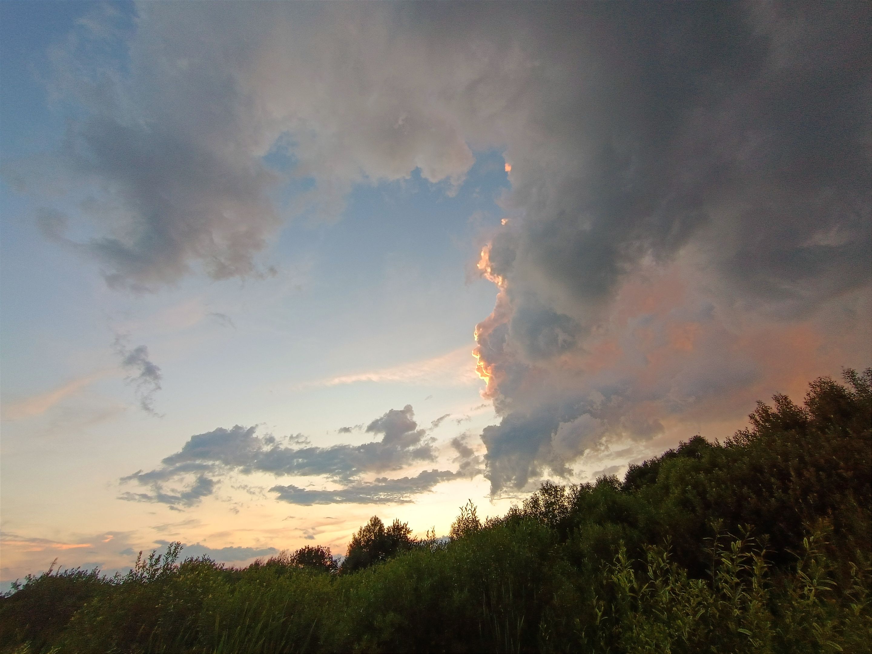 IMG_20250715_163719.jpg