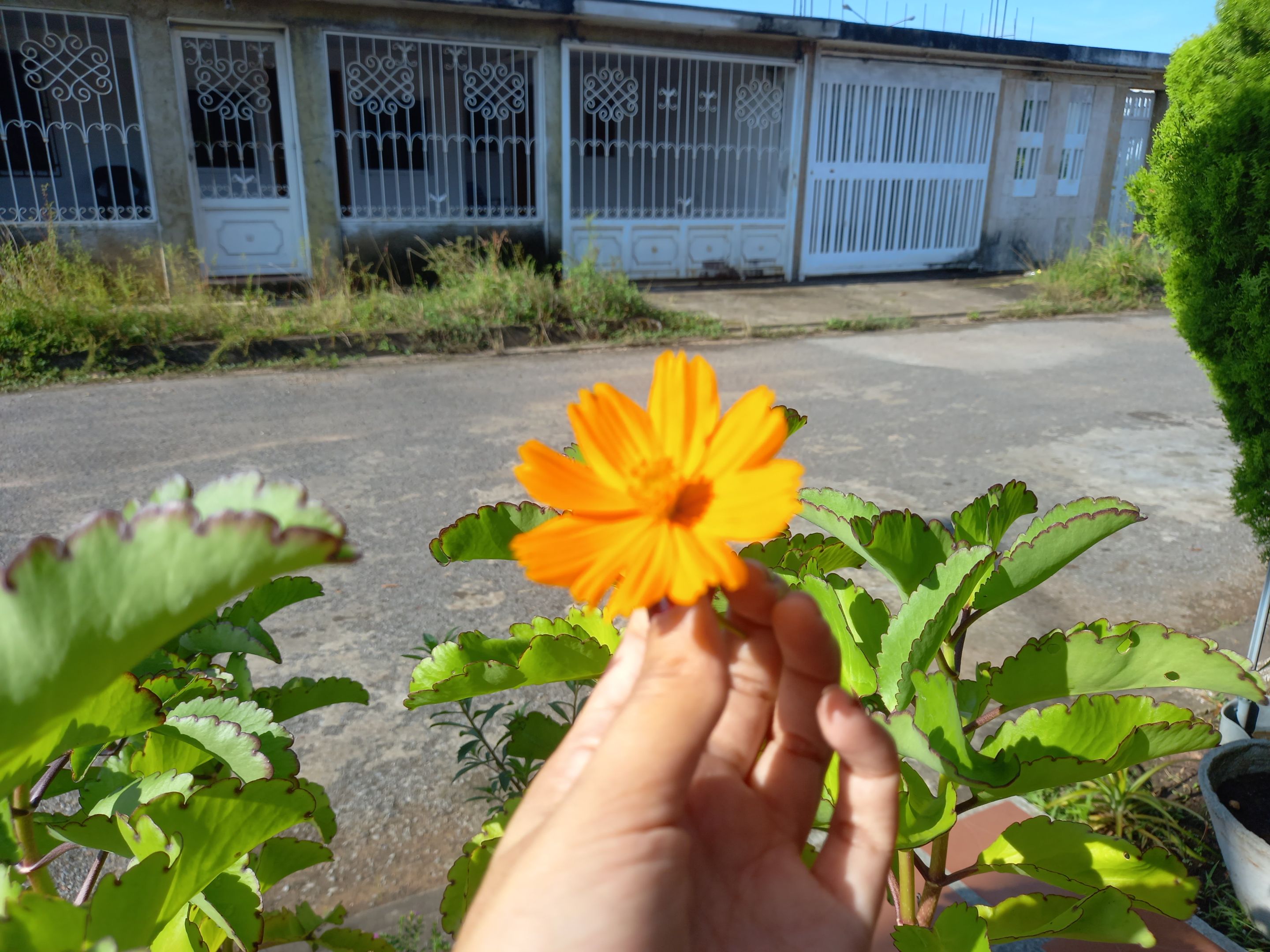 20220824_082659.jpg