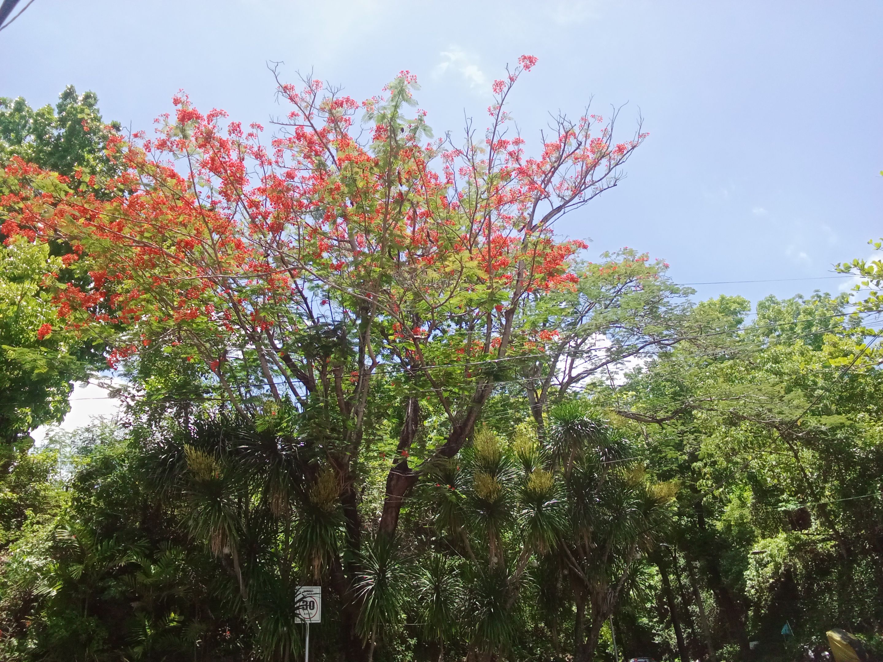 IMG_20250518_110442.jpg