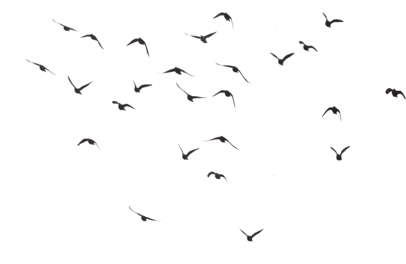 purepng.webp