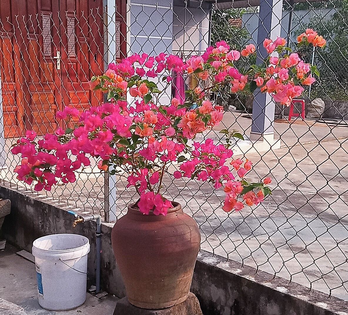 z3026399424779_c0eee0e7ada6ea7a70460fe7d4b07915.jpg