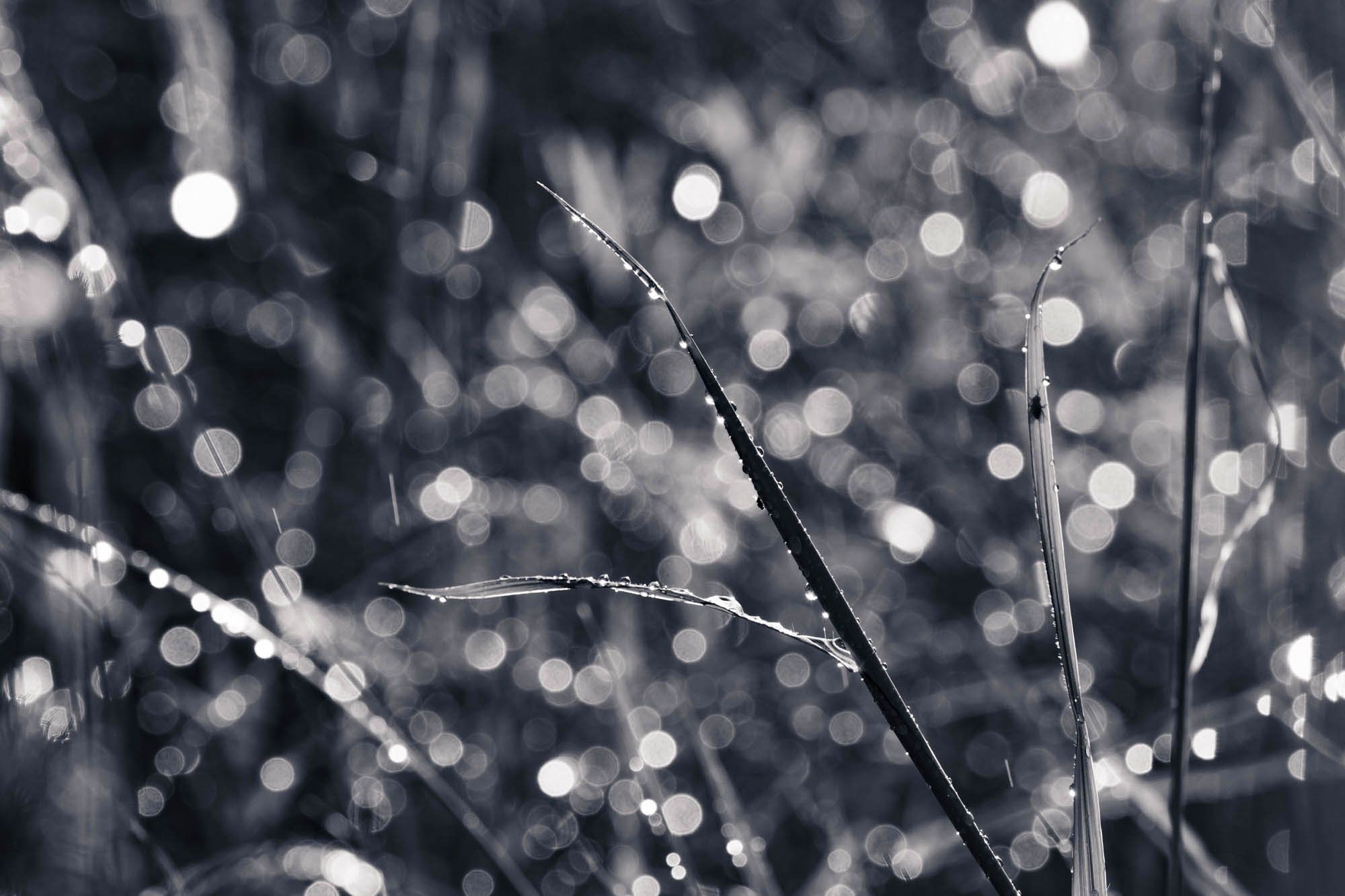 DSC_7505-2 copia.jpg