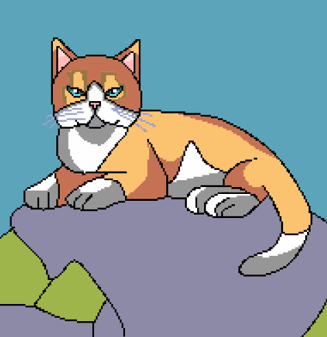 5.png