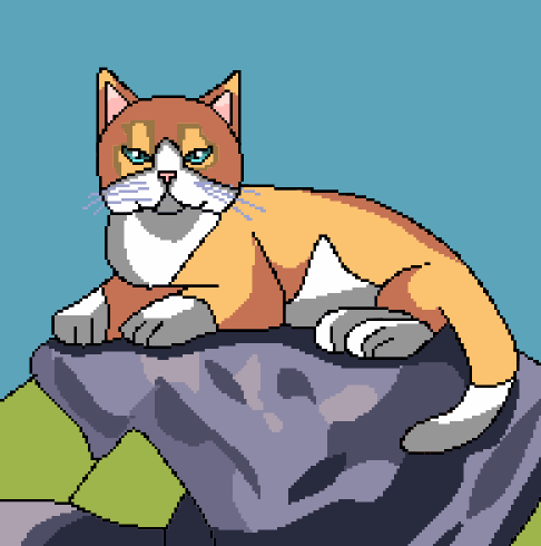 6.png