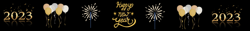 New Years Text Divider.png