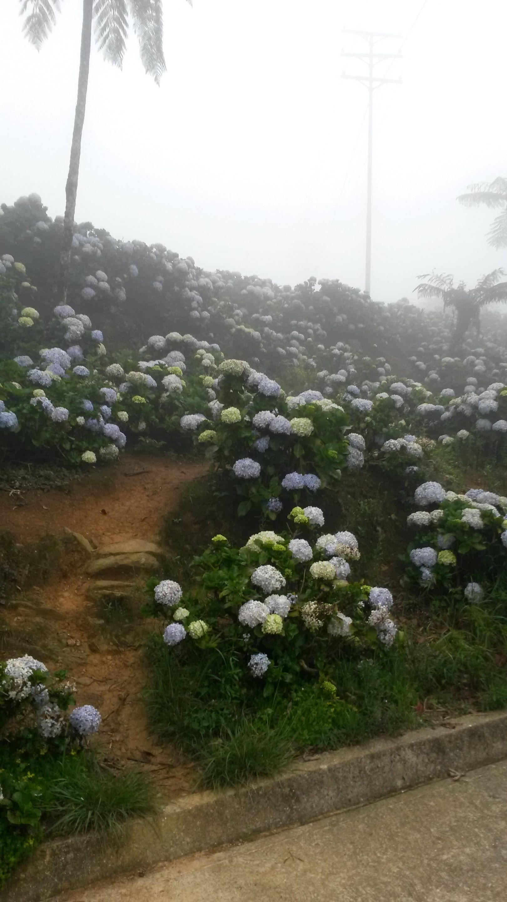 20160514_112617.jpg