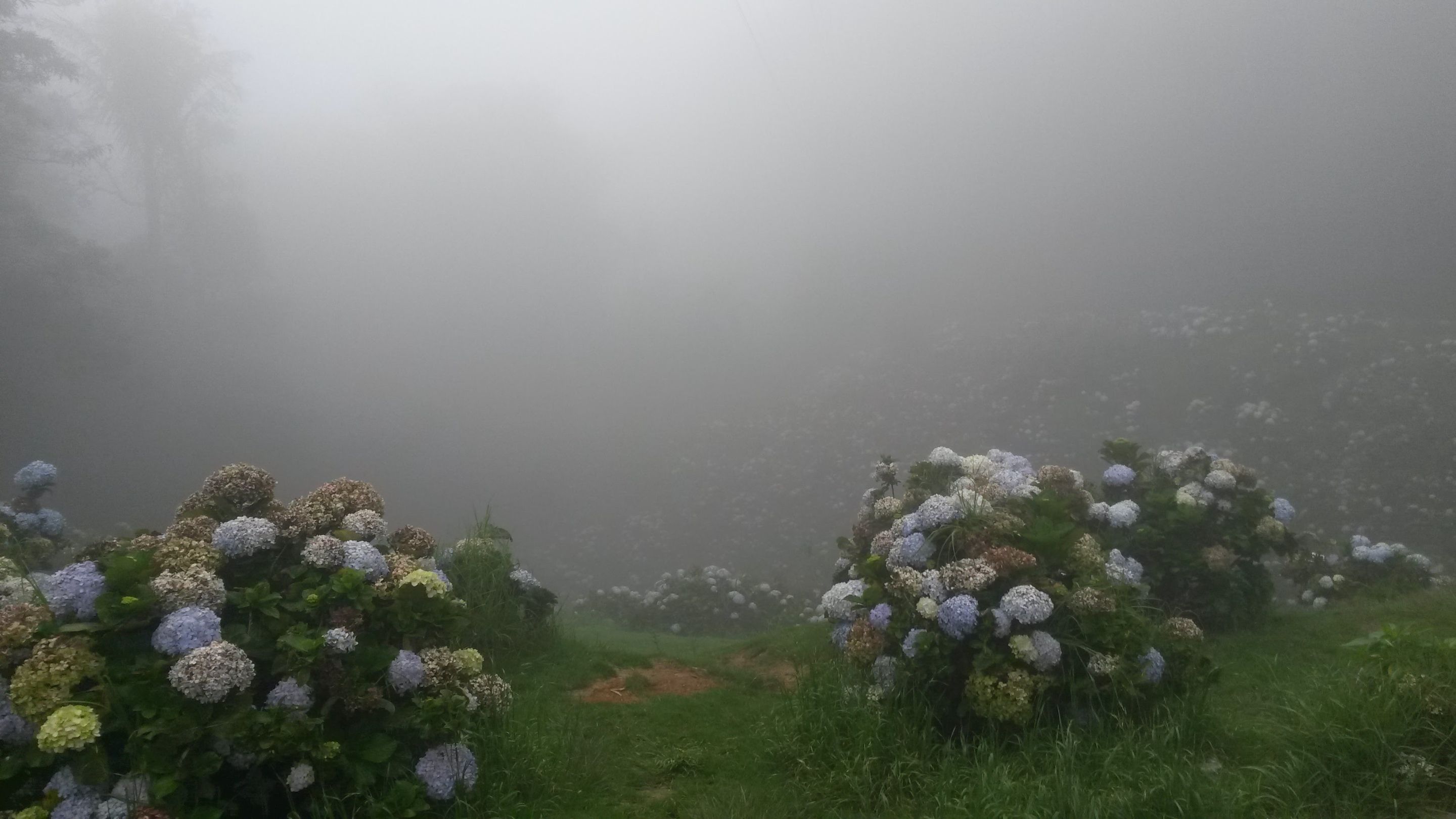 20160514_112625.jpg