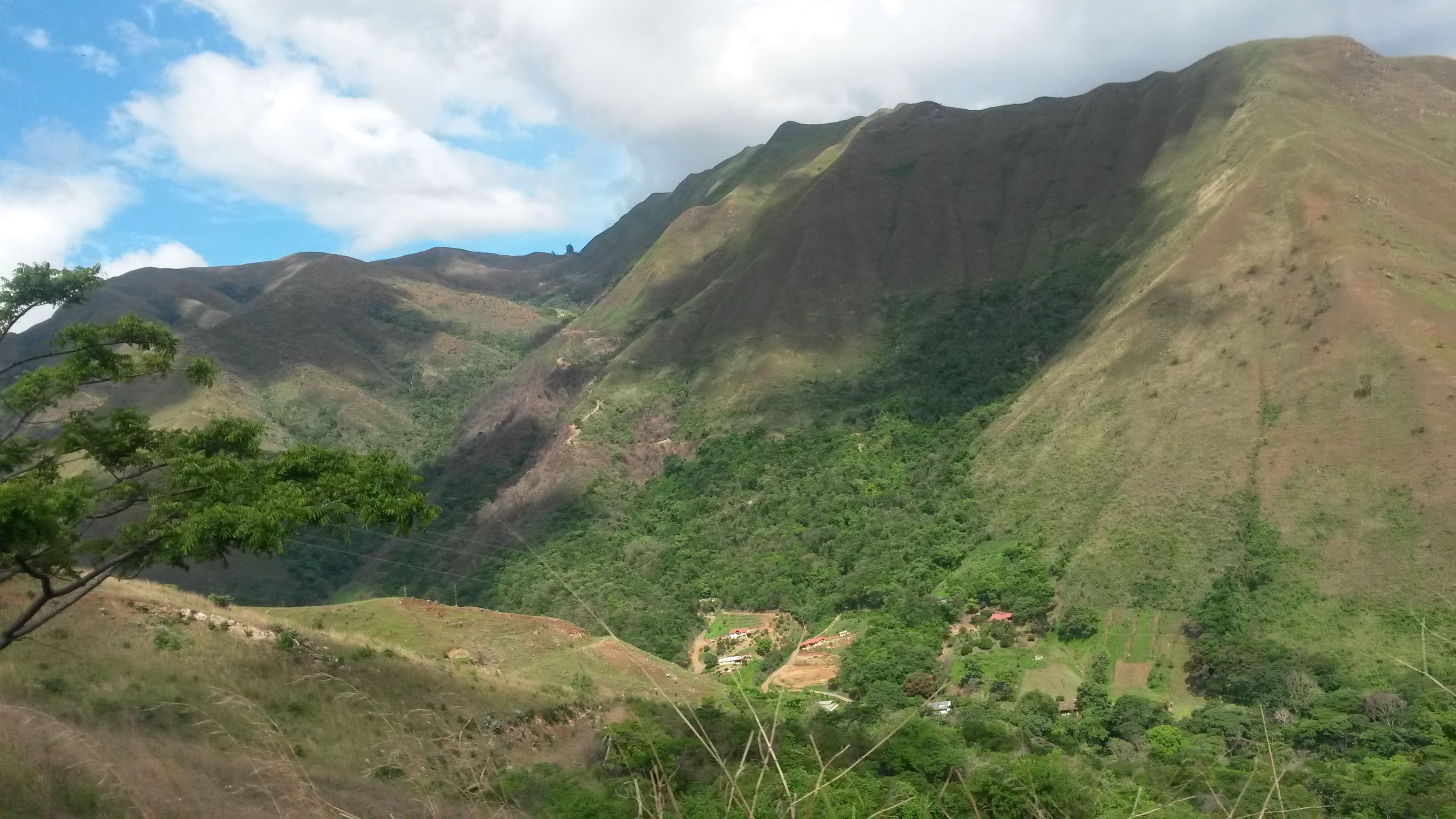 20160513_150559.jpg