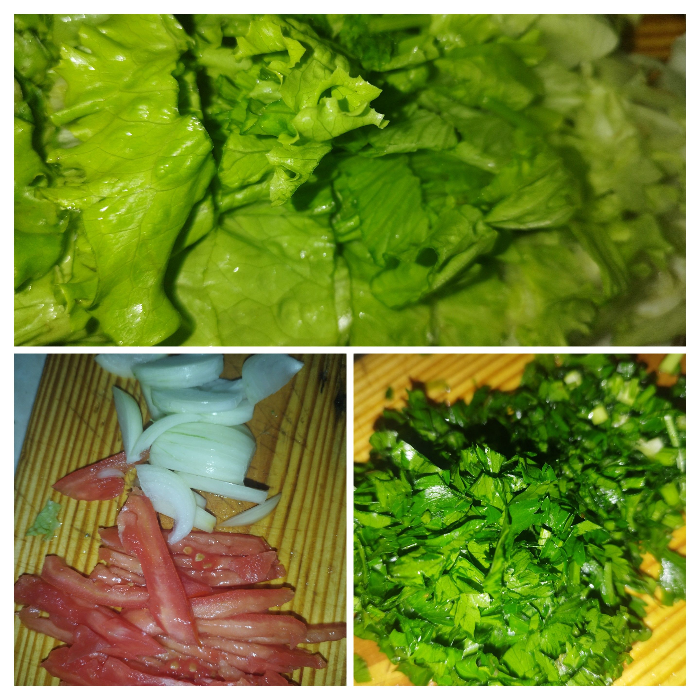 20230820_152713-COLLAGE.jpg