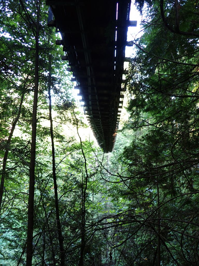 Cap Bridge 2.jpg