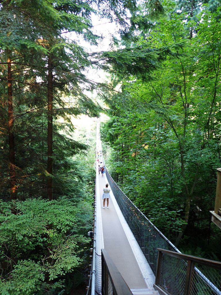 Cap Bridge 5.jpg