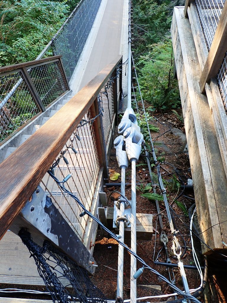 Cap Bridge 4.jpg