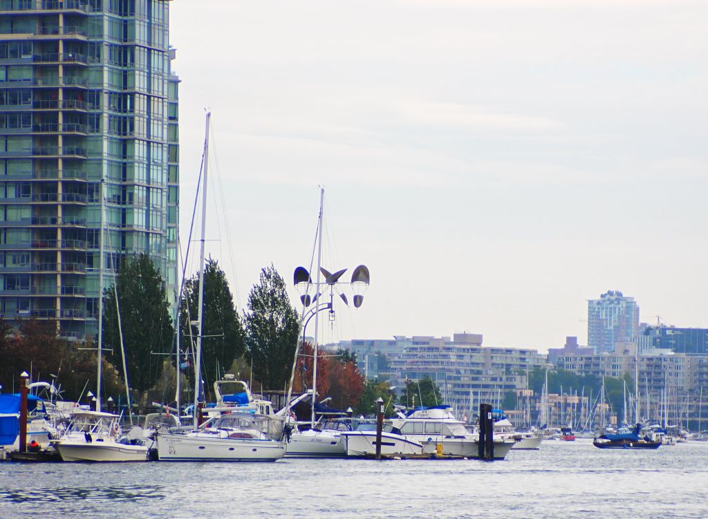 False Creek waters01.jpg