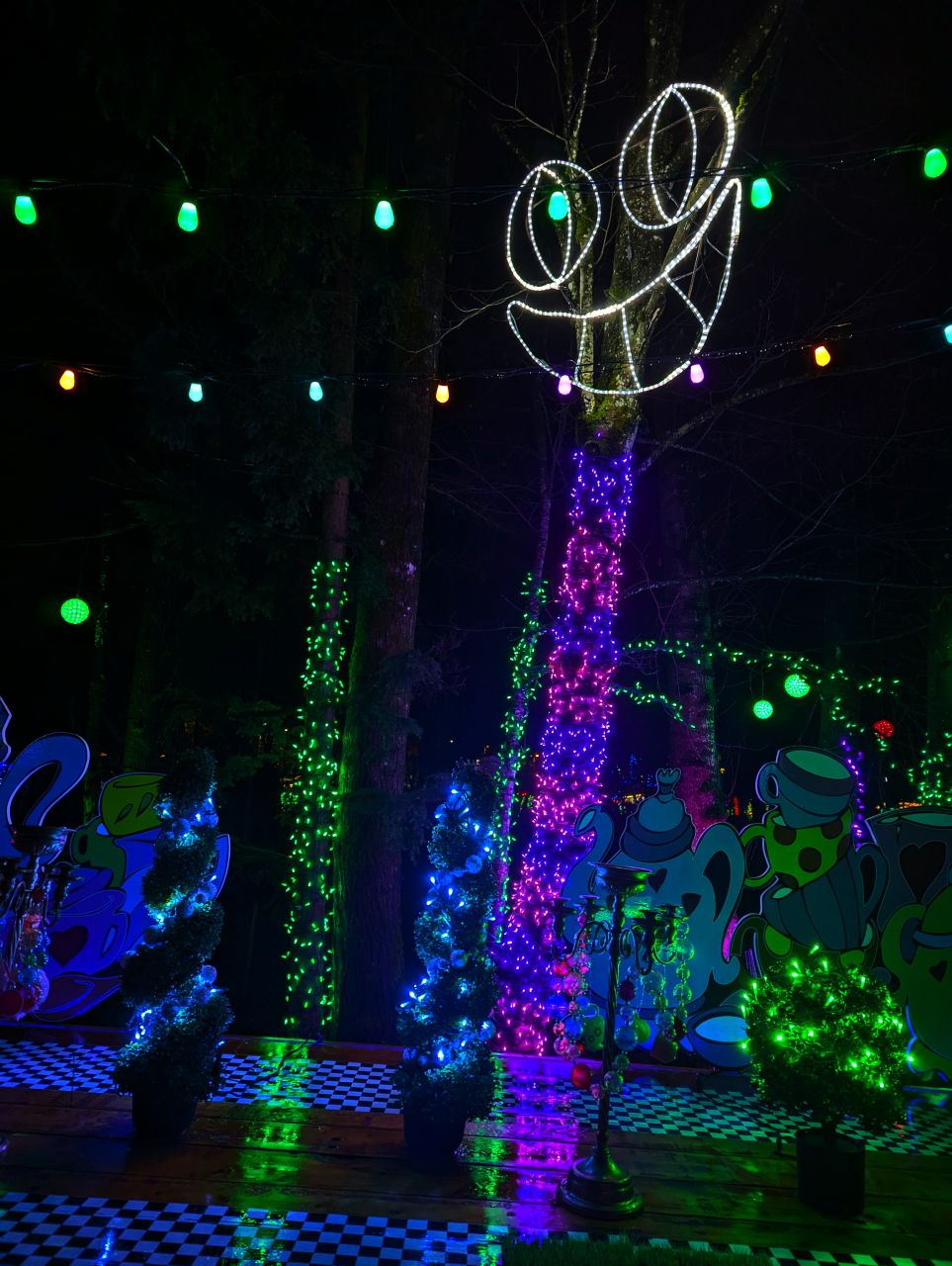 Lake_Christmas_LightsPXL_20241222_025041495.jpg/