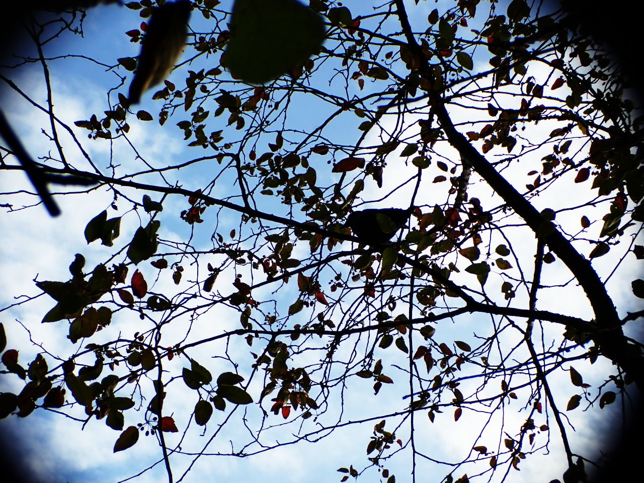Hiking02.jpg