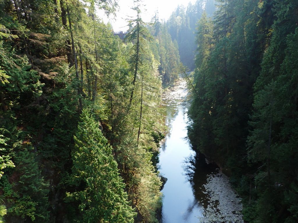 Capilano First Section03.jpg