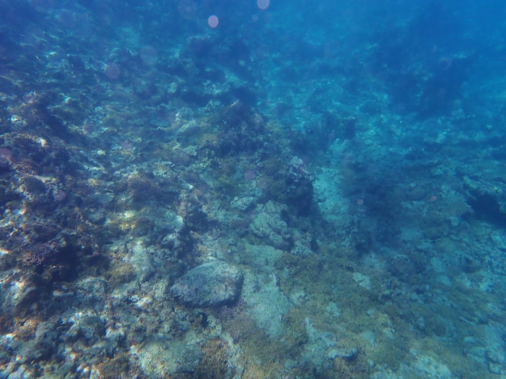 Underwater World03.jpg
