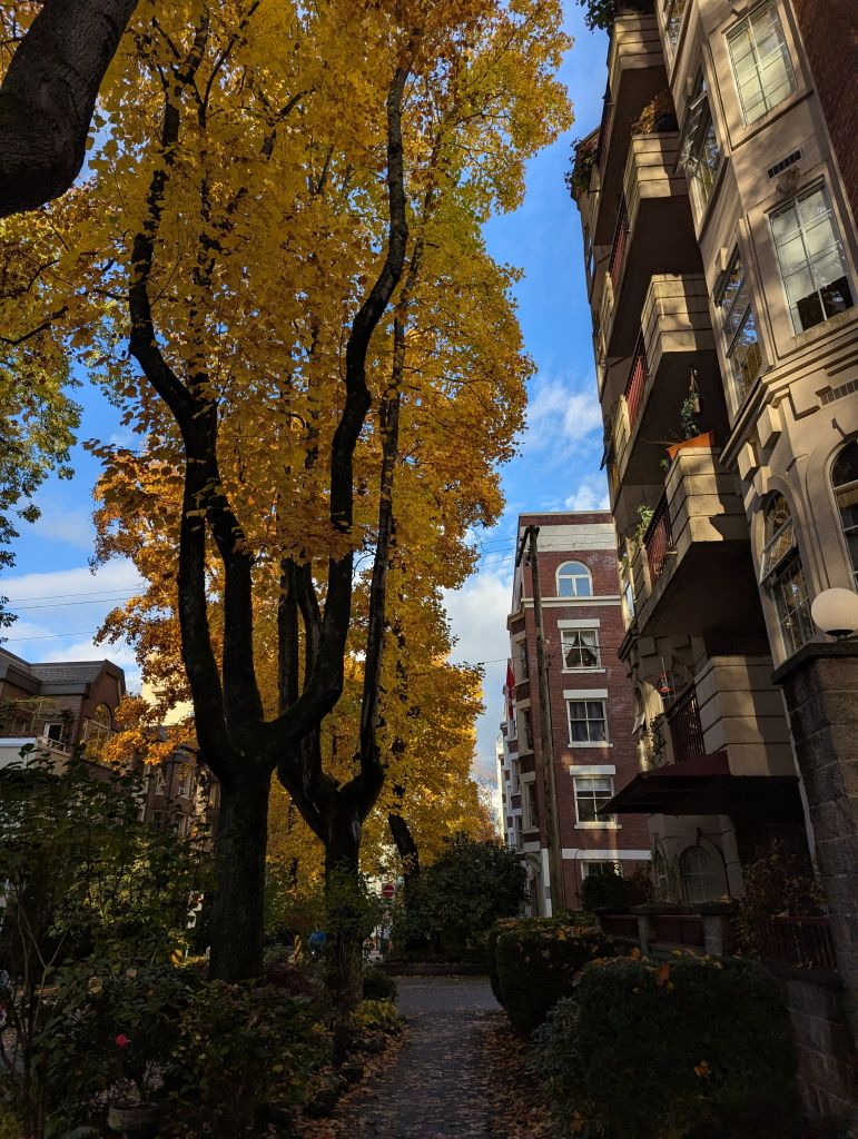 West_Neighbourhood_Fall14.jpg
