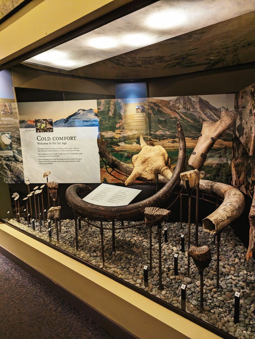 Royal_BC_Museum0004.jpg