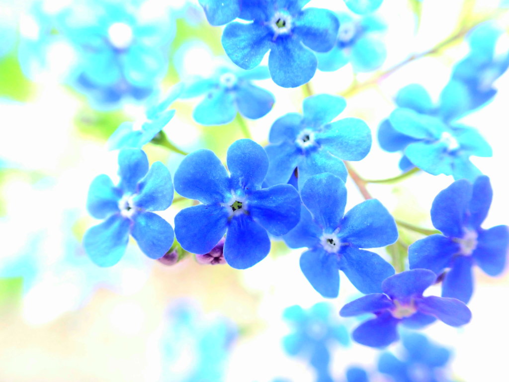 PurpleAndBlue.jpg