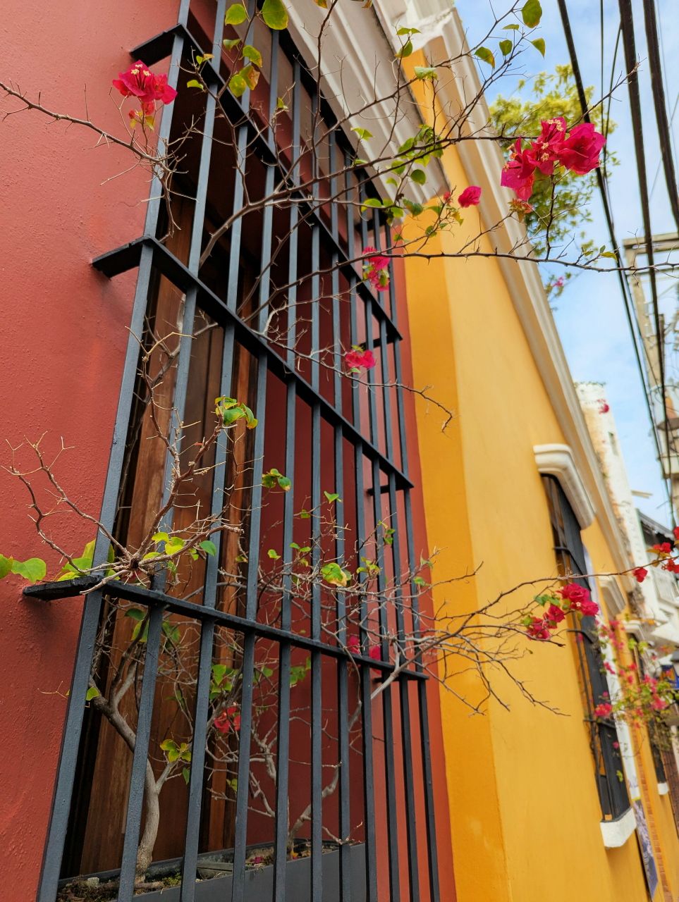 Beautiful Balcony.jpg