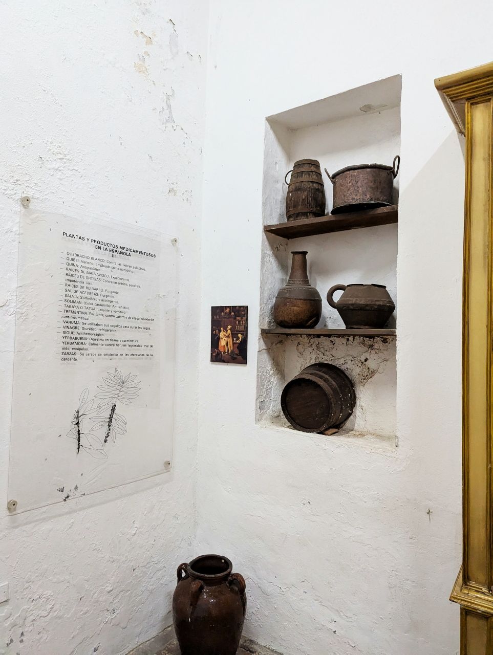 Botanical Exhibition02.jpg