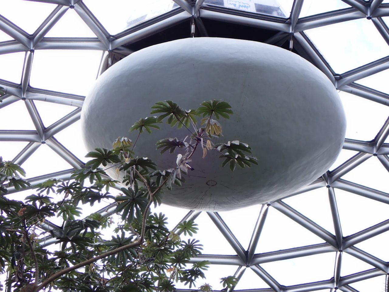 conservatory_birdsPA060139.jpg