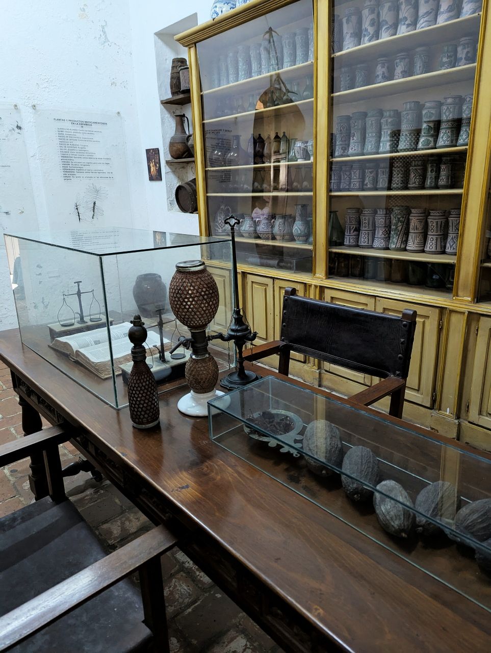 Botanical Exhibition04.jpg