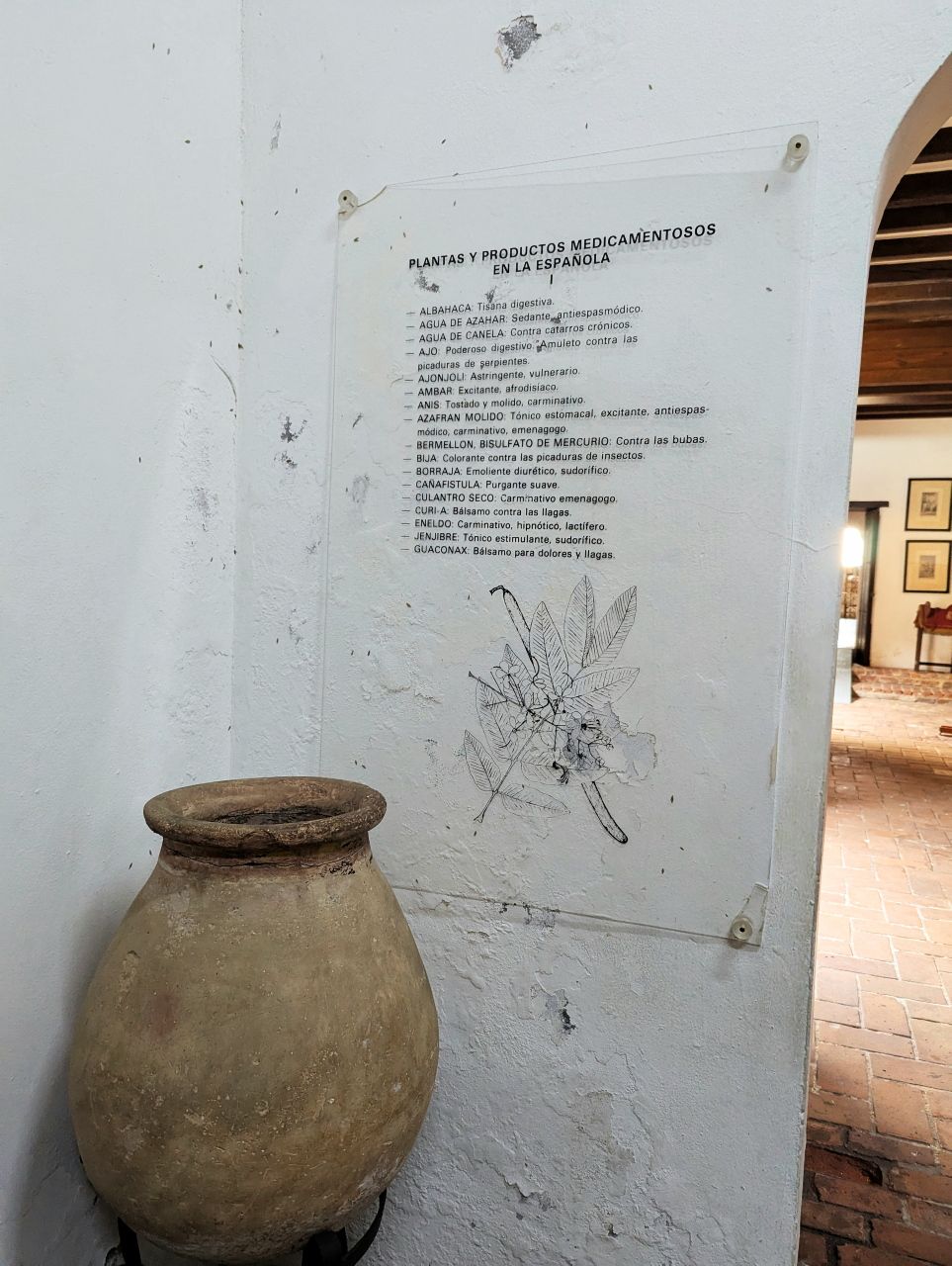 Botanical Exhibition05.jpg