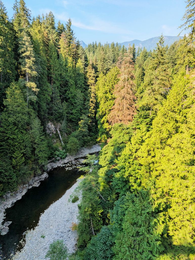 Capilano Bridge Treewalk01.jpg