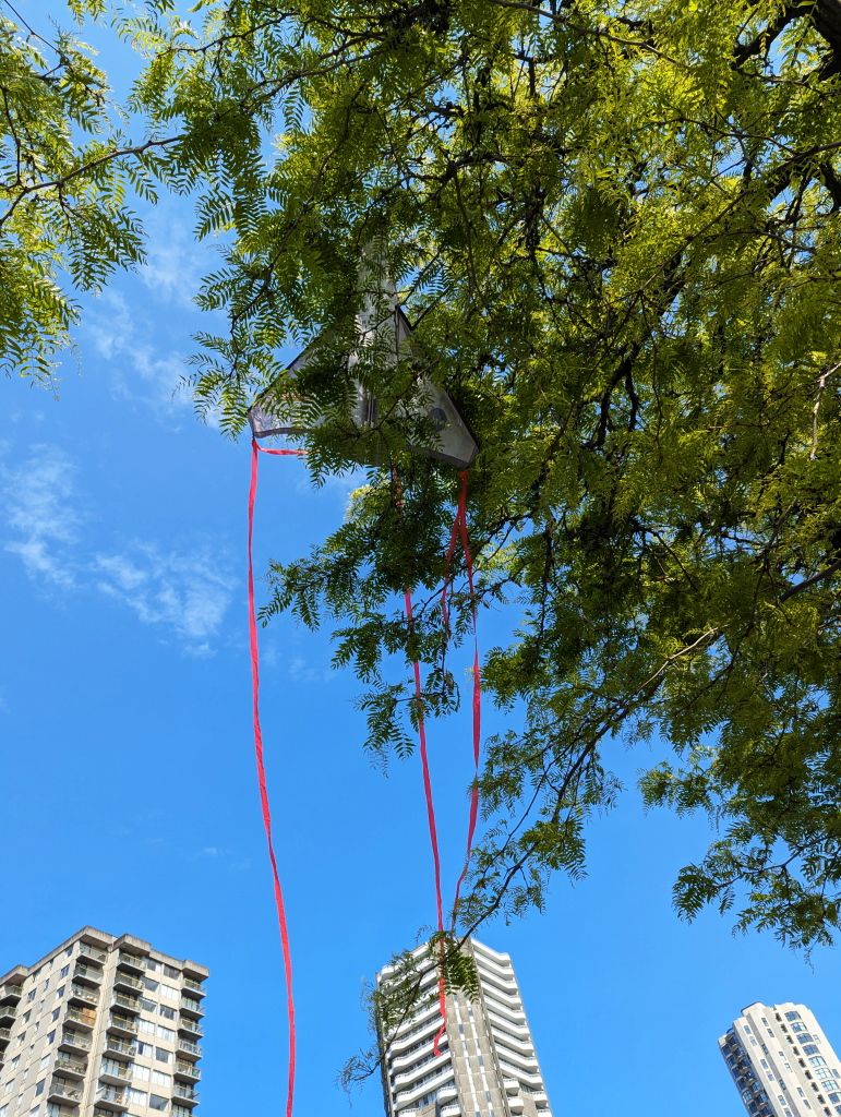 Urban kite.jpg