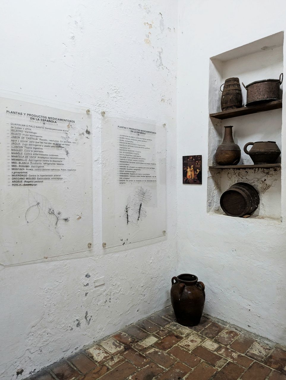 Botanical Exhibition06.jpg