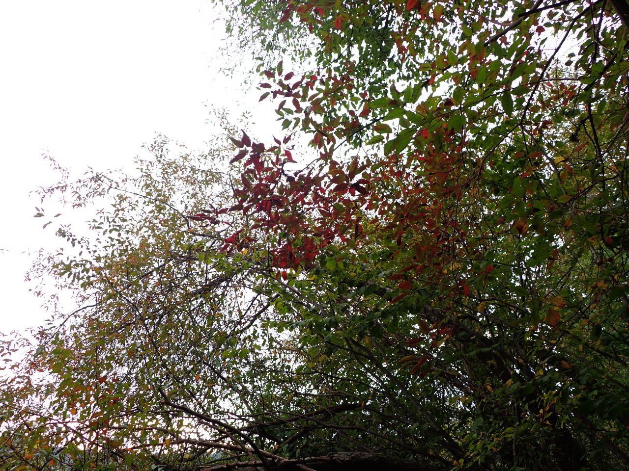 Hiking08.jpg