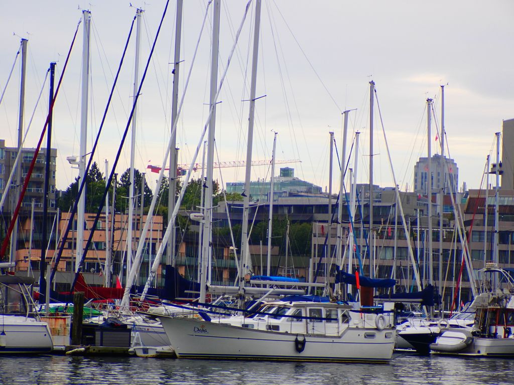 False Creek waters14.jpg