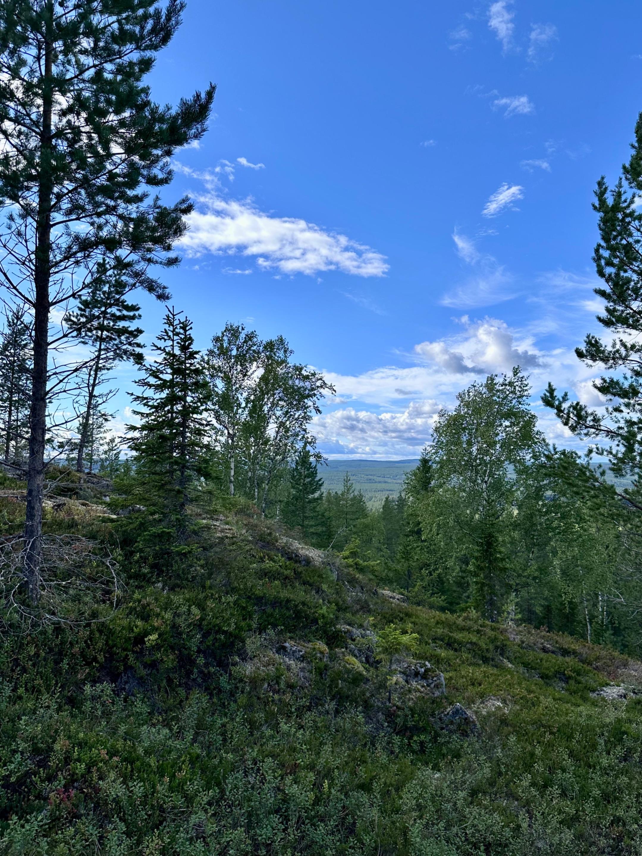 Tavelsjö